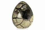 Septarian Dragon Egg Geode - Black Crystals #250969-2